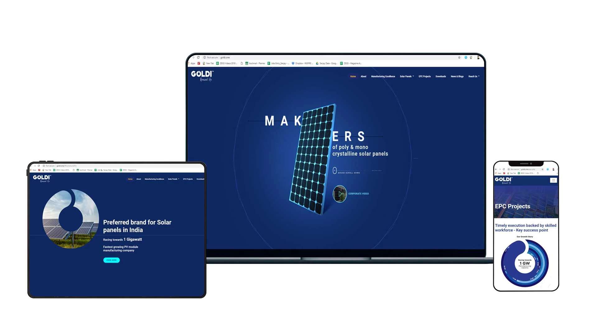 Website design and content for goldi