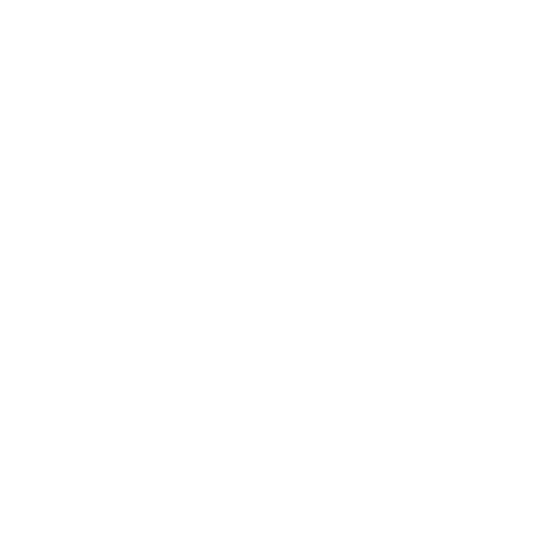 street-origins-logo